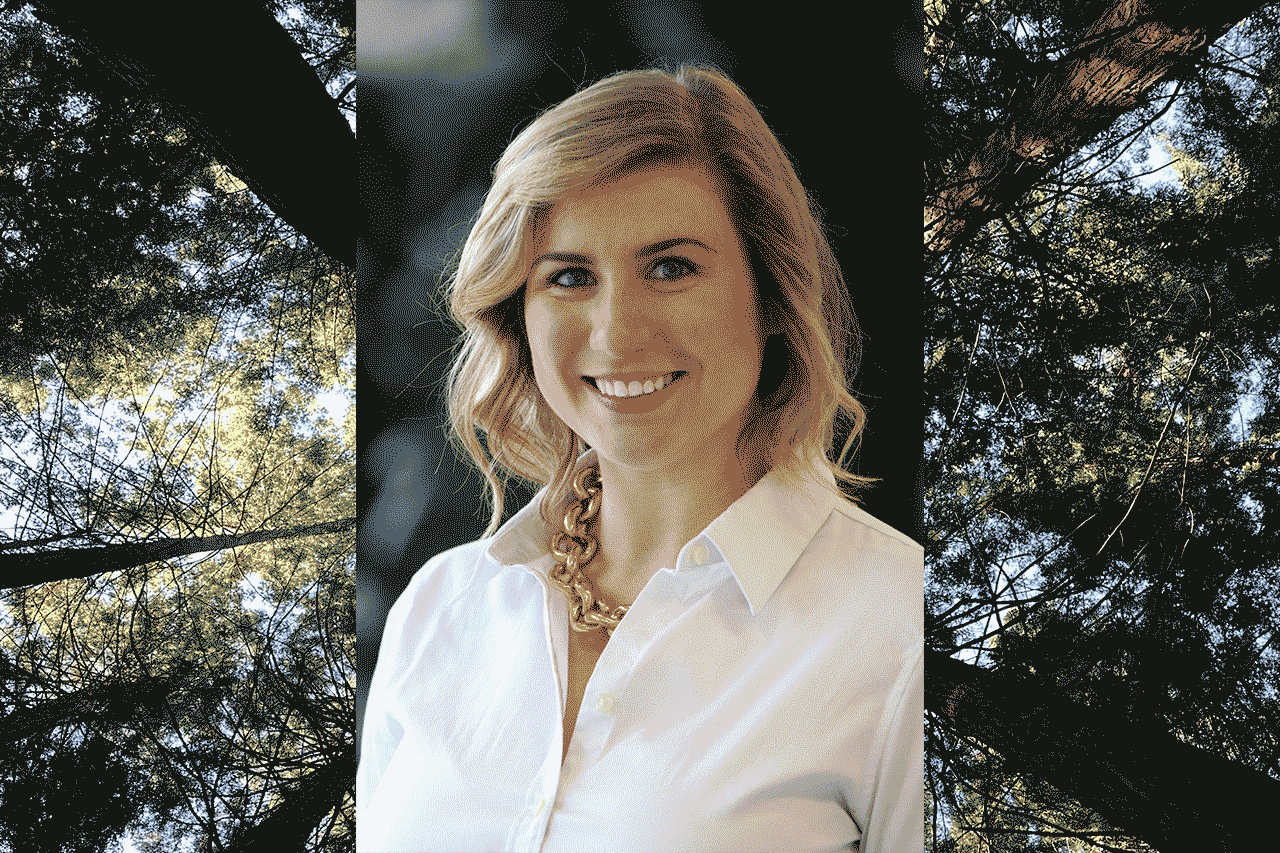 Alternative description text goes here