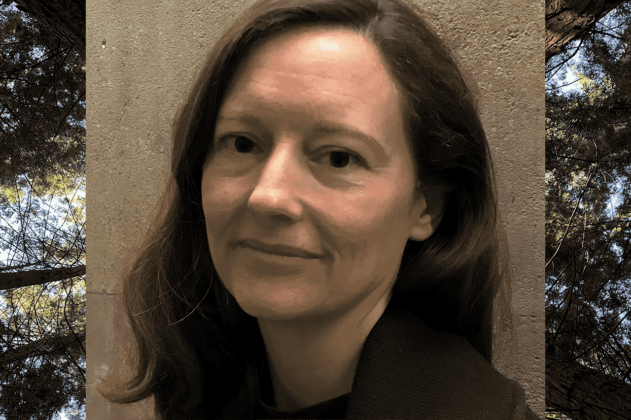 Alternative description text goes here