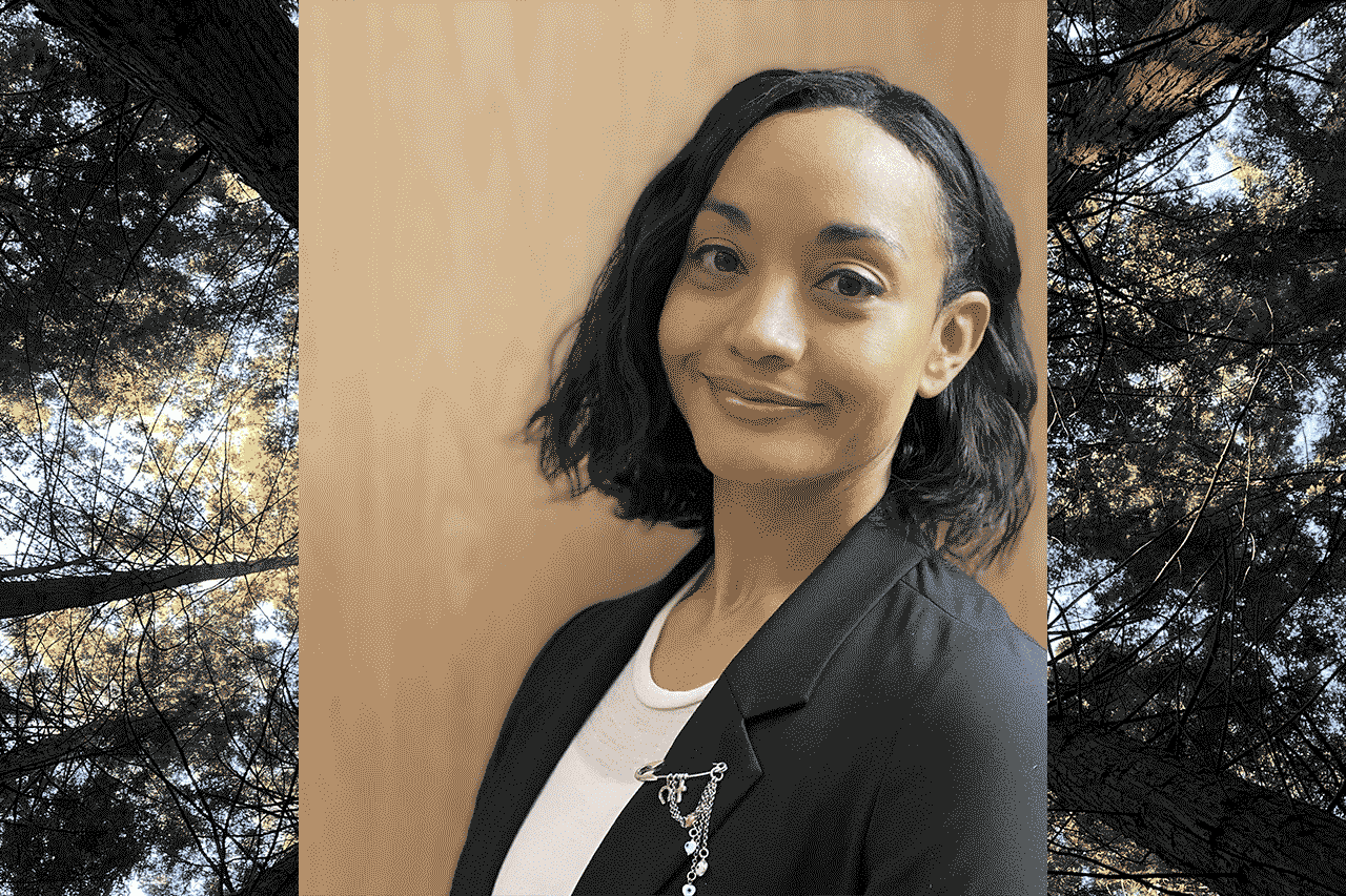 Alternative description text goes here