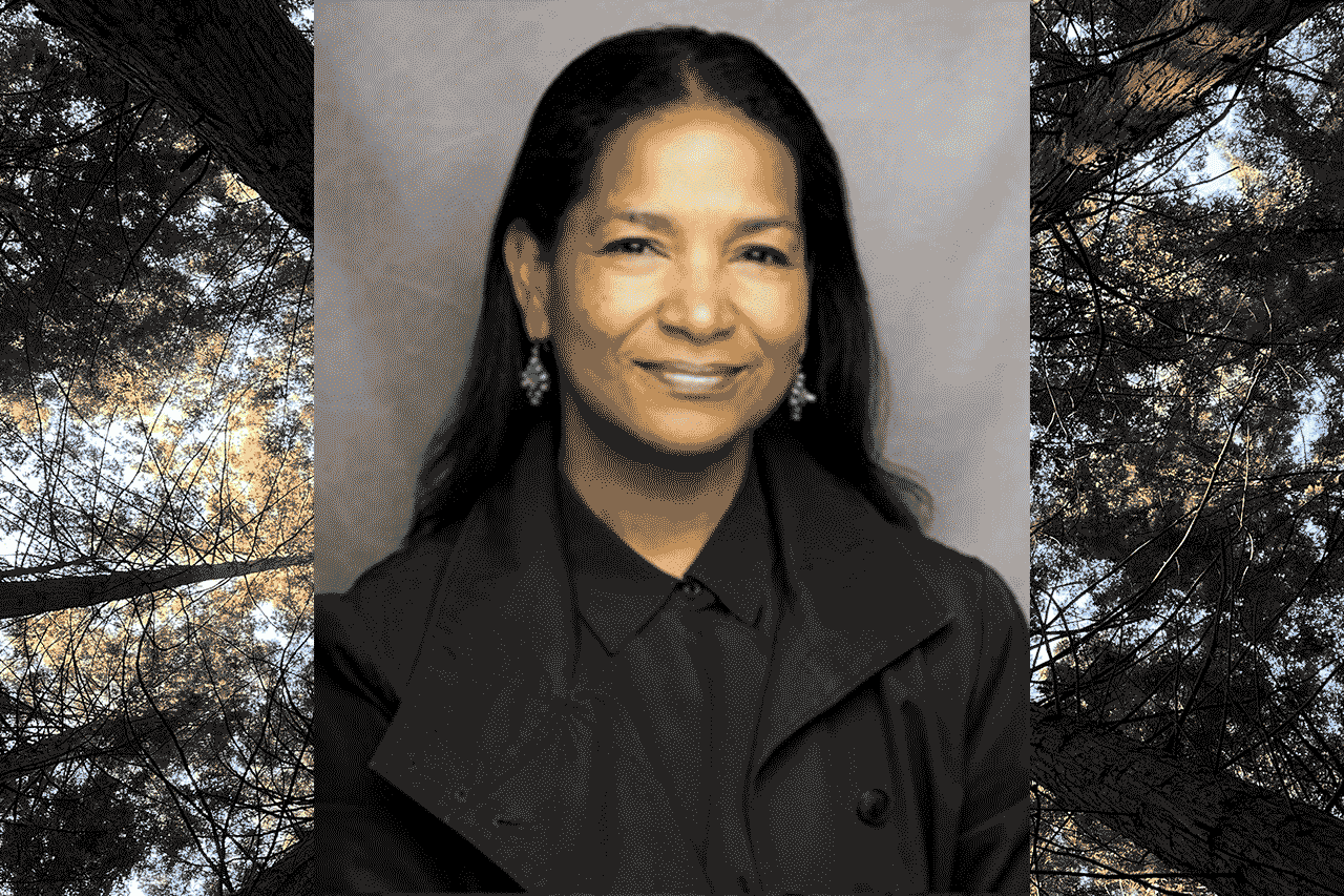 Alternative description text goes here