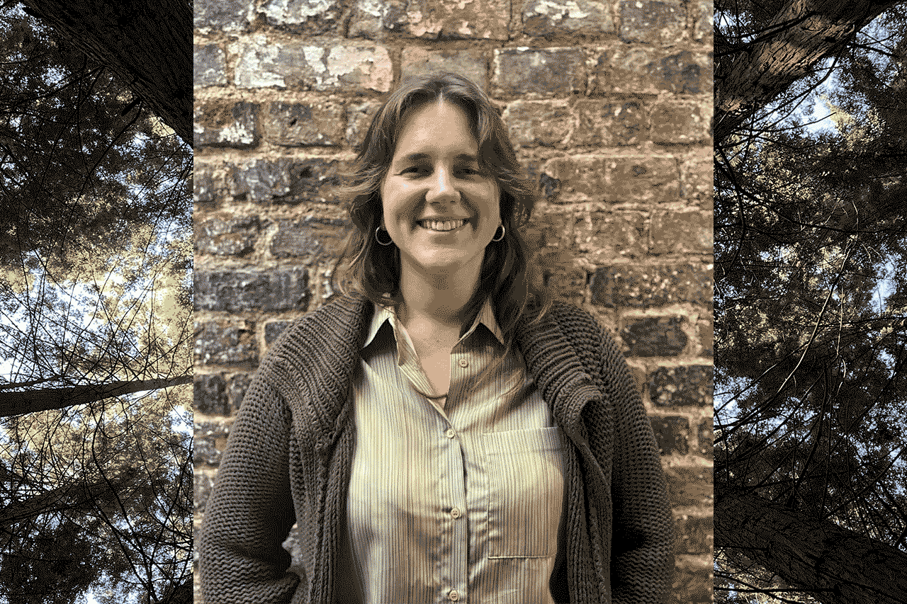 Alternative description text goes here