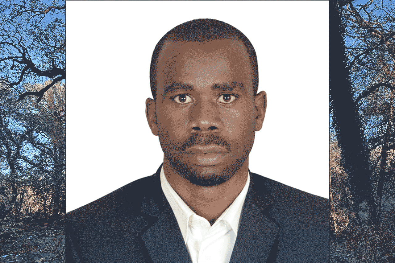 Alternative description text goes here