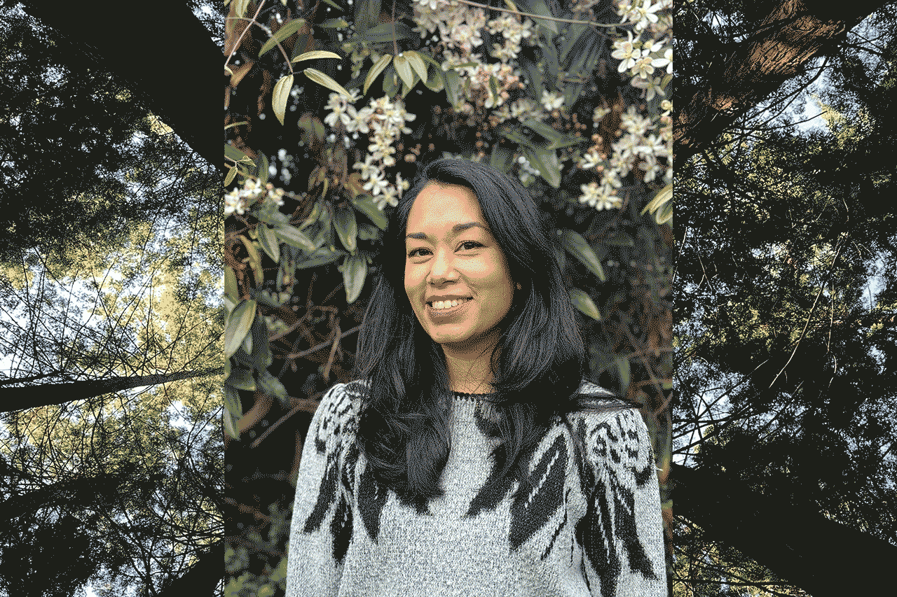 Alternative description text goes here