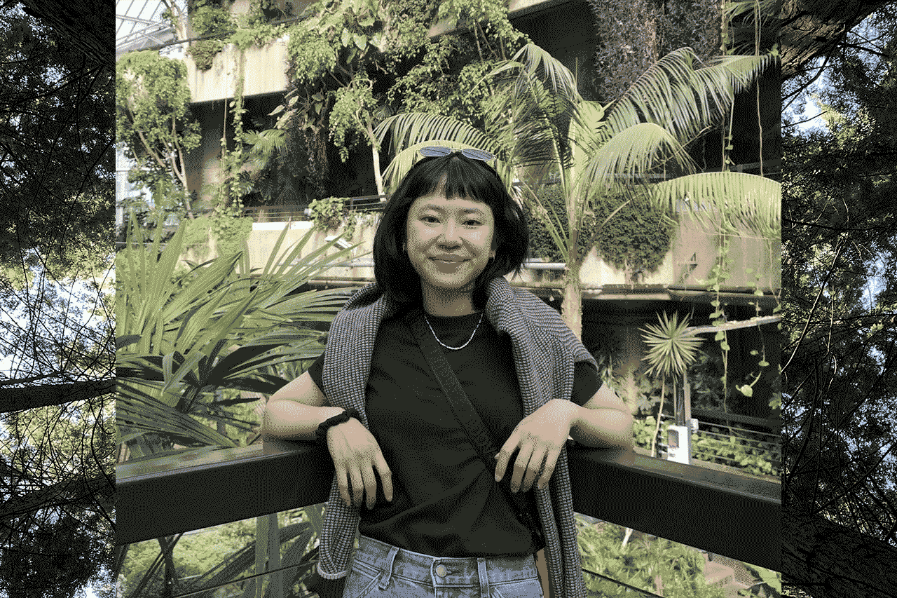 Alternative description text goes here