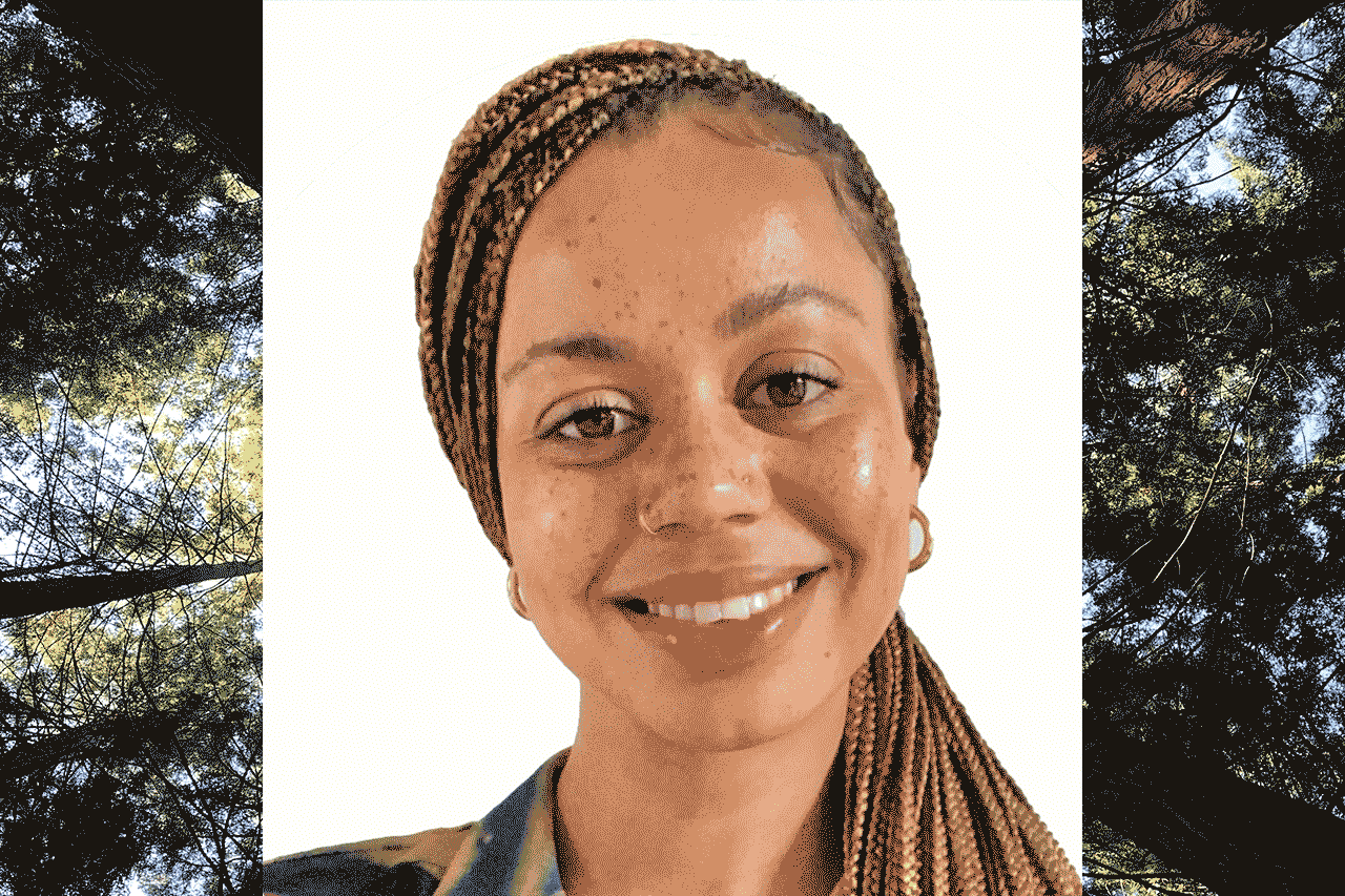 Alternative description text goes here