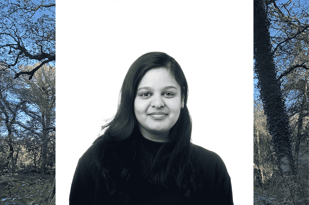 Alternative description text goes here