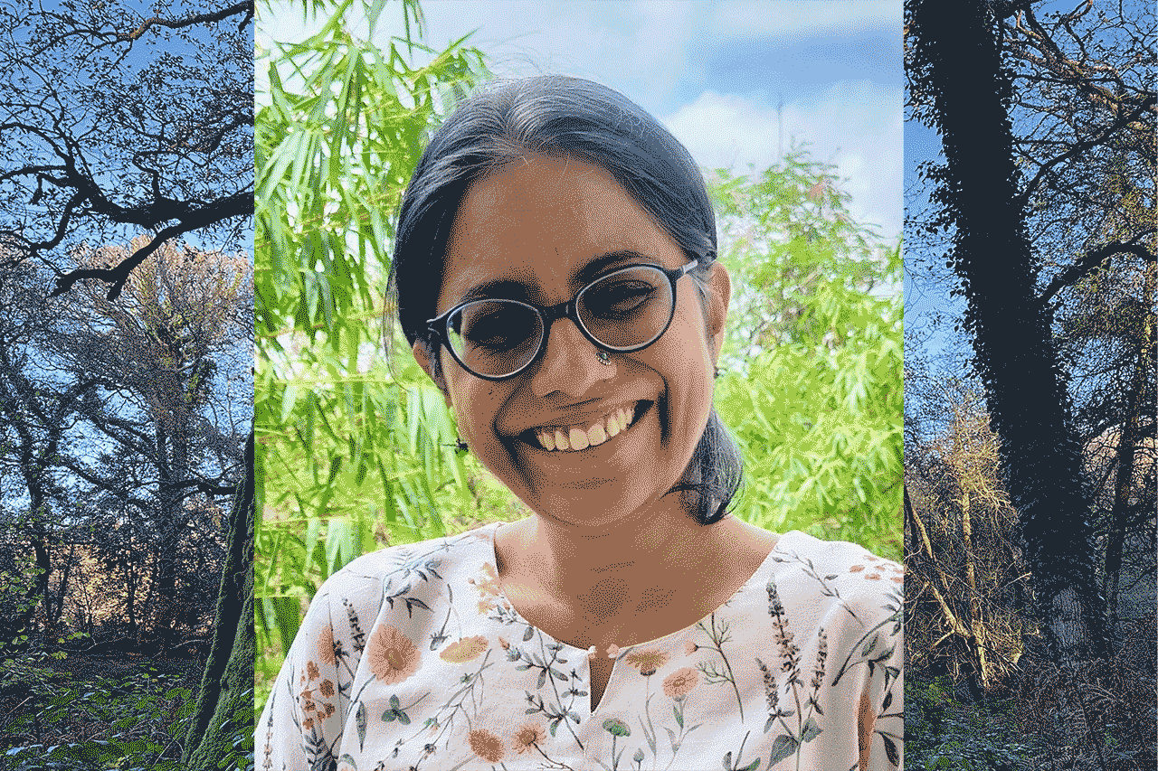 Alternative description text goes here