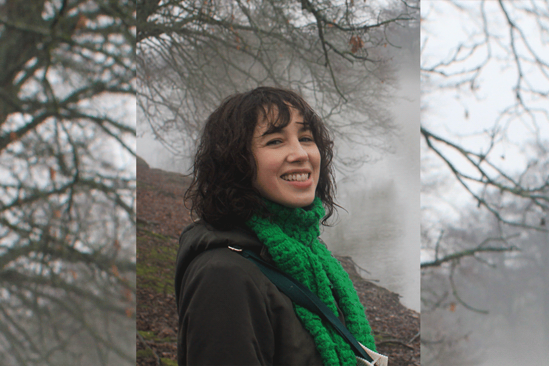 Alternative description text goes here