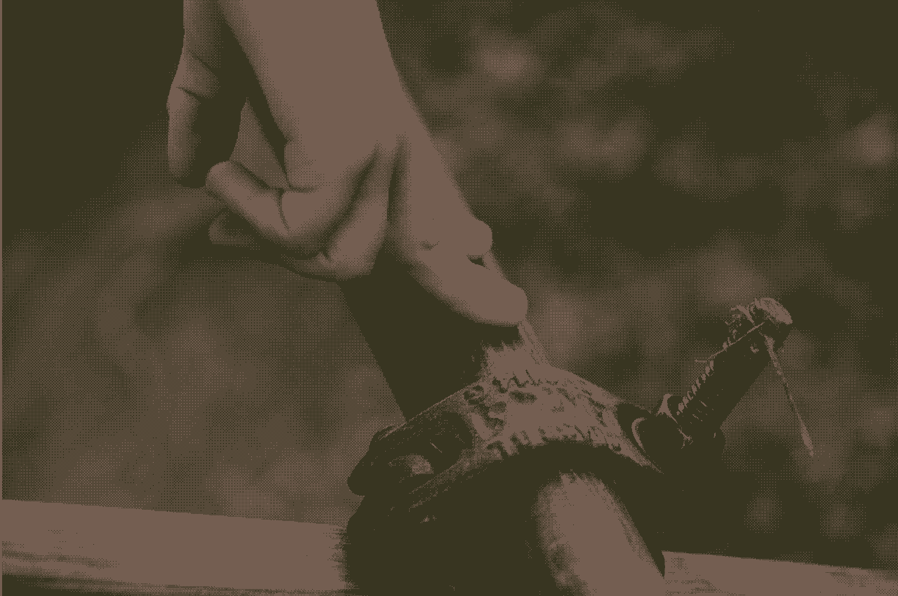 Image by Laura Hopes