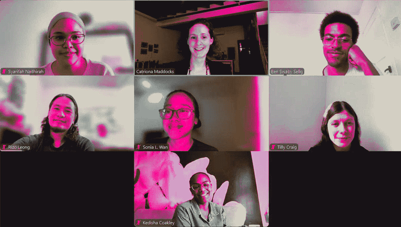 screenshot of fellows during sharing session