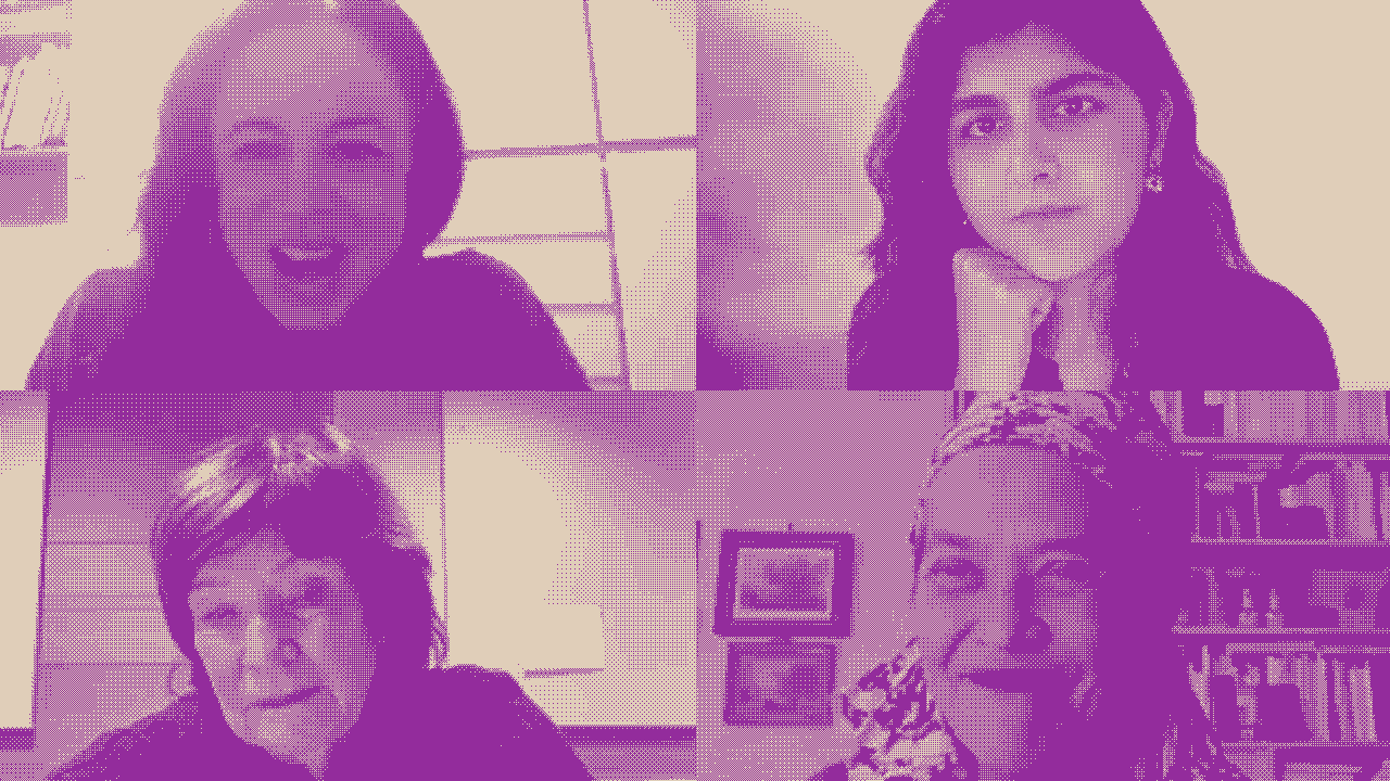 Webinars - Françoise Vergès in conversation with Sue Williamson and Deanna Dadusc