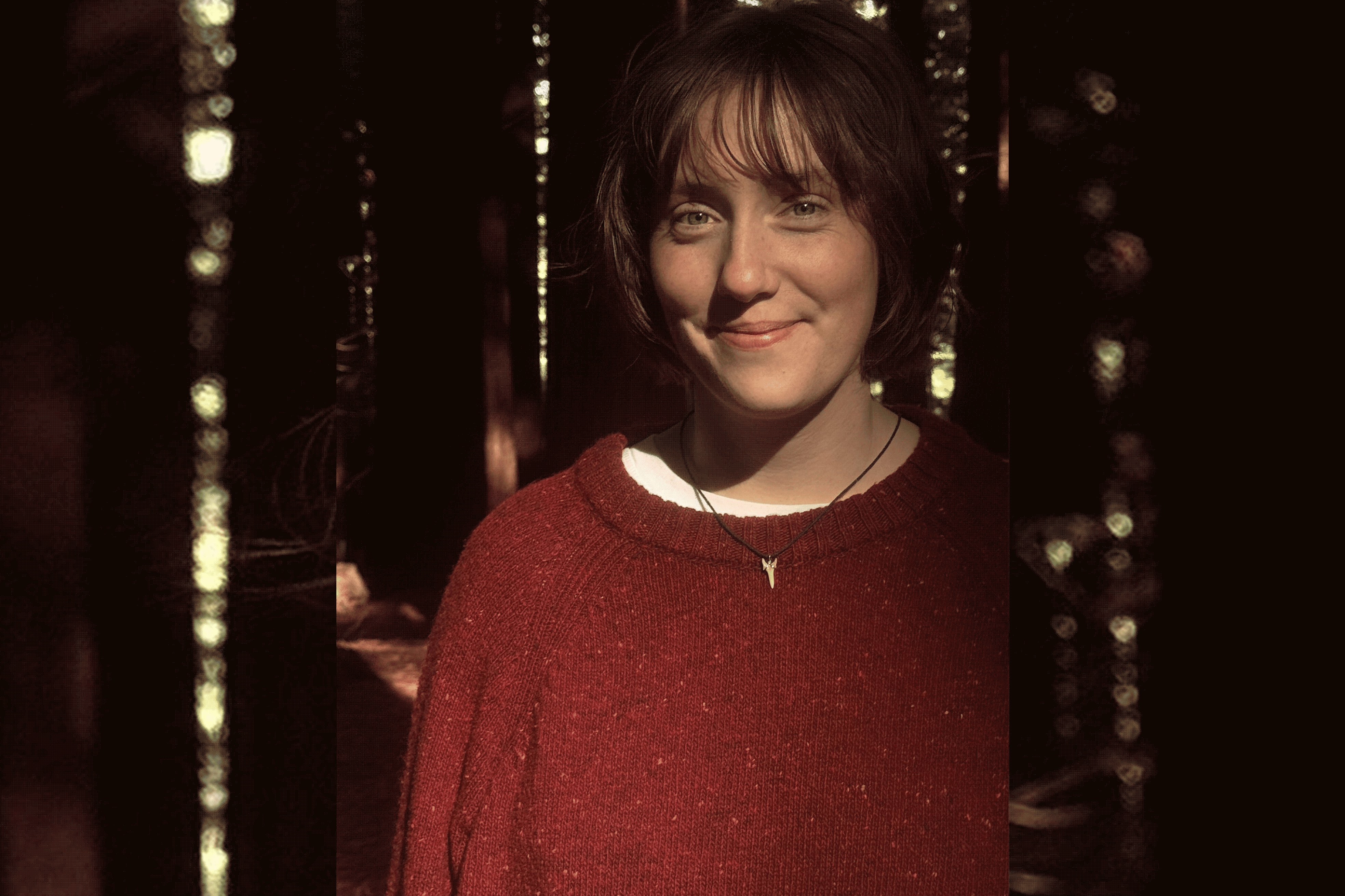 Alternative description text goes here