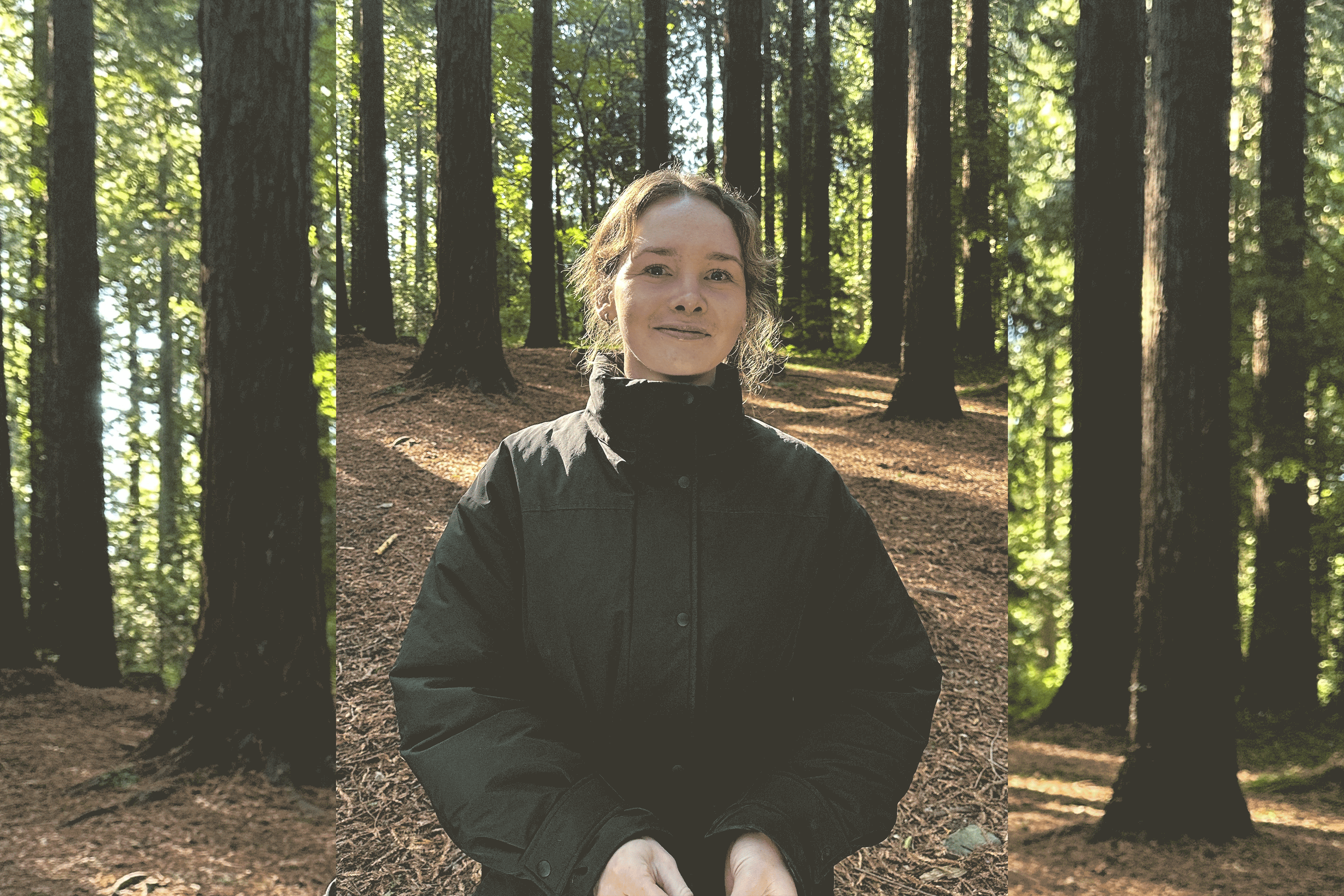 Alternative description text goes here